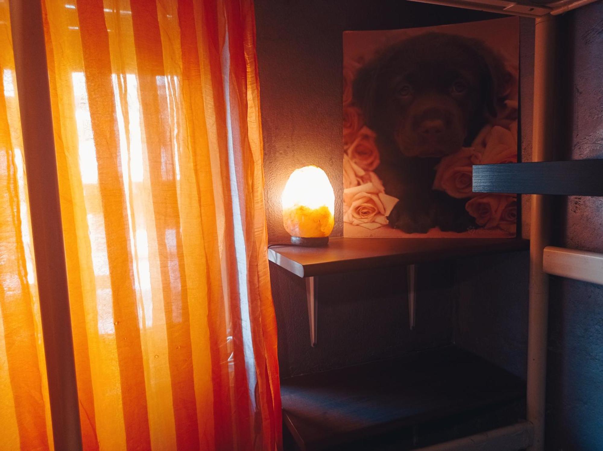 Apartment Casa Nemue